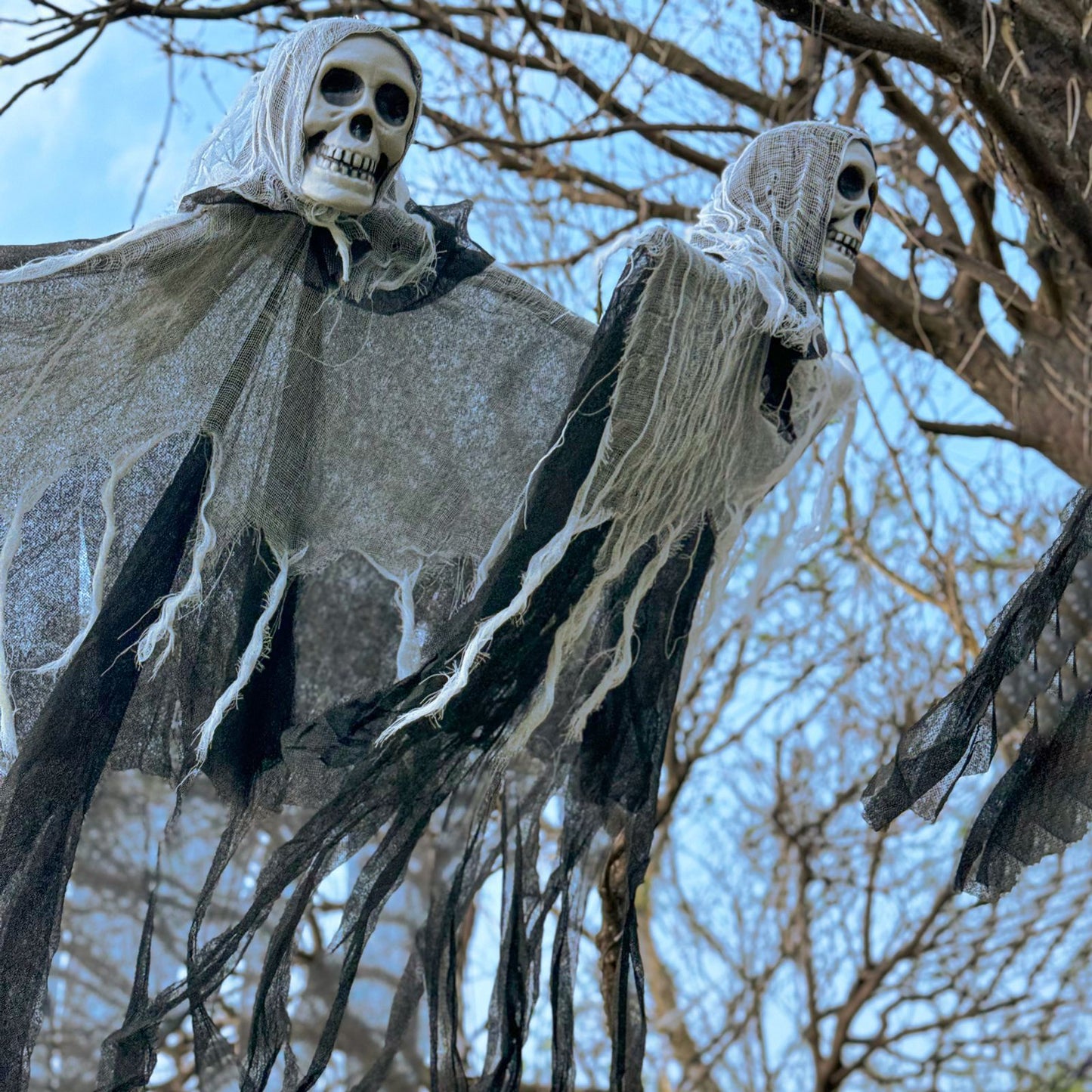 Halloween Ghost Skull
