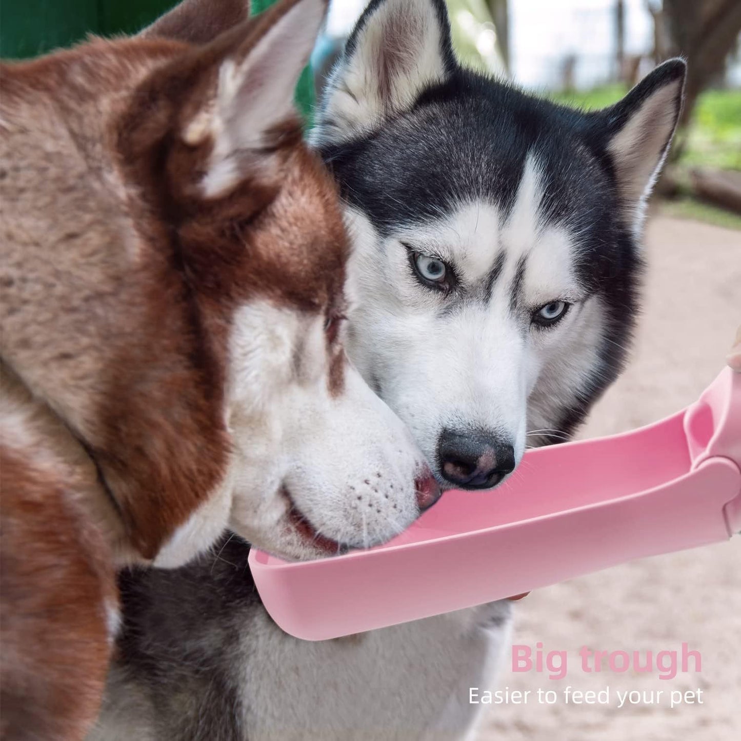 Convenient Pet Water Bottle – Hydration Made Easy for Dogs