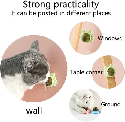 Rotatable Catnip Ball Toy – Chew, Lick, and Clean Teeth!