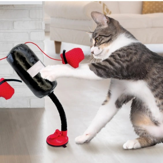 Portable Cat Toy for Active, Playful, and Healthy Cats