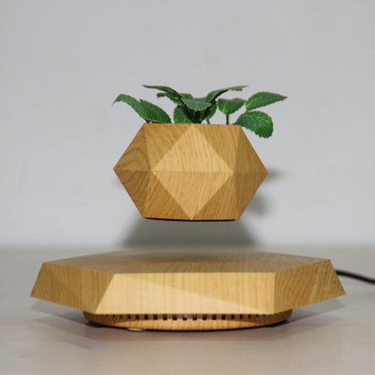 Floating Plant Pot for Home & Office with Creative Touch