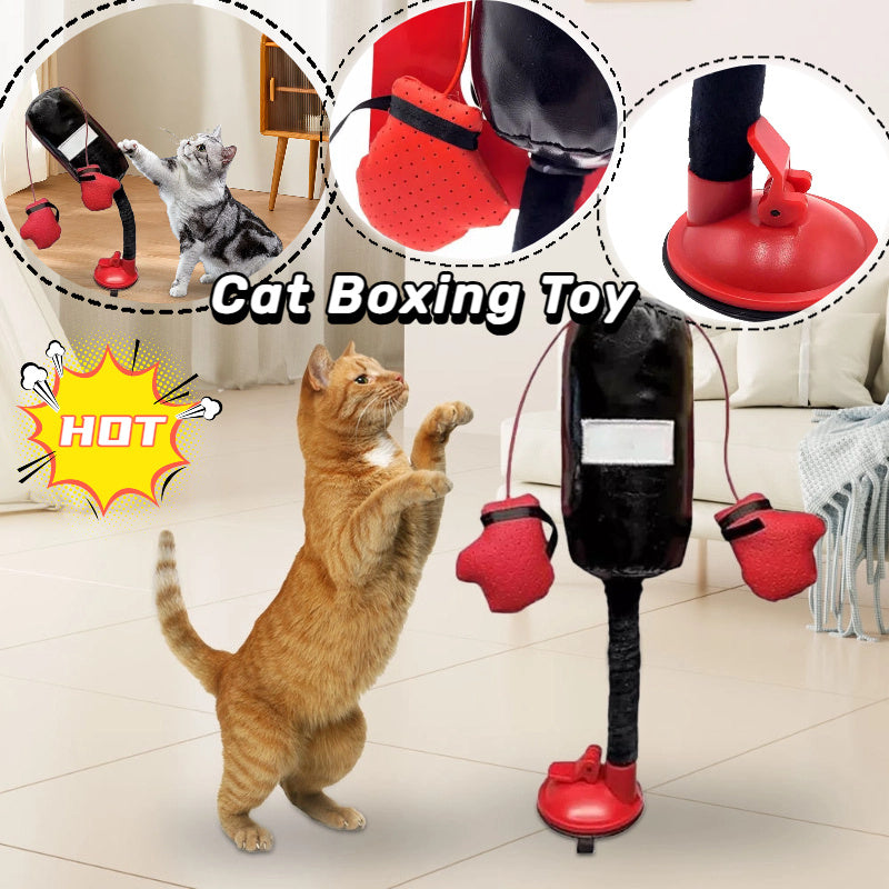 Portable Cat Toy for Active, Playful, and Healthy Cats