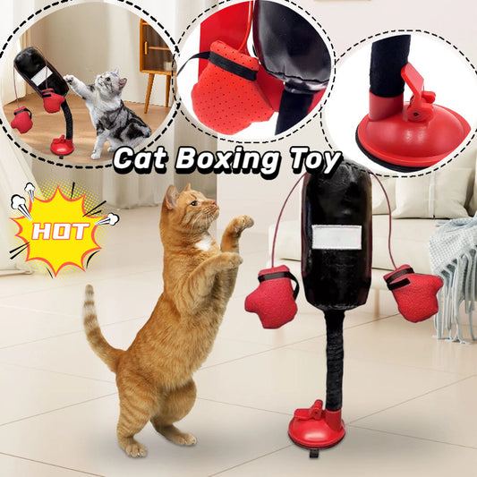 Portable Cat Toy for Active, Playful, and Healthy Cats