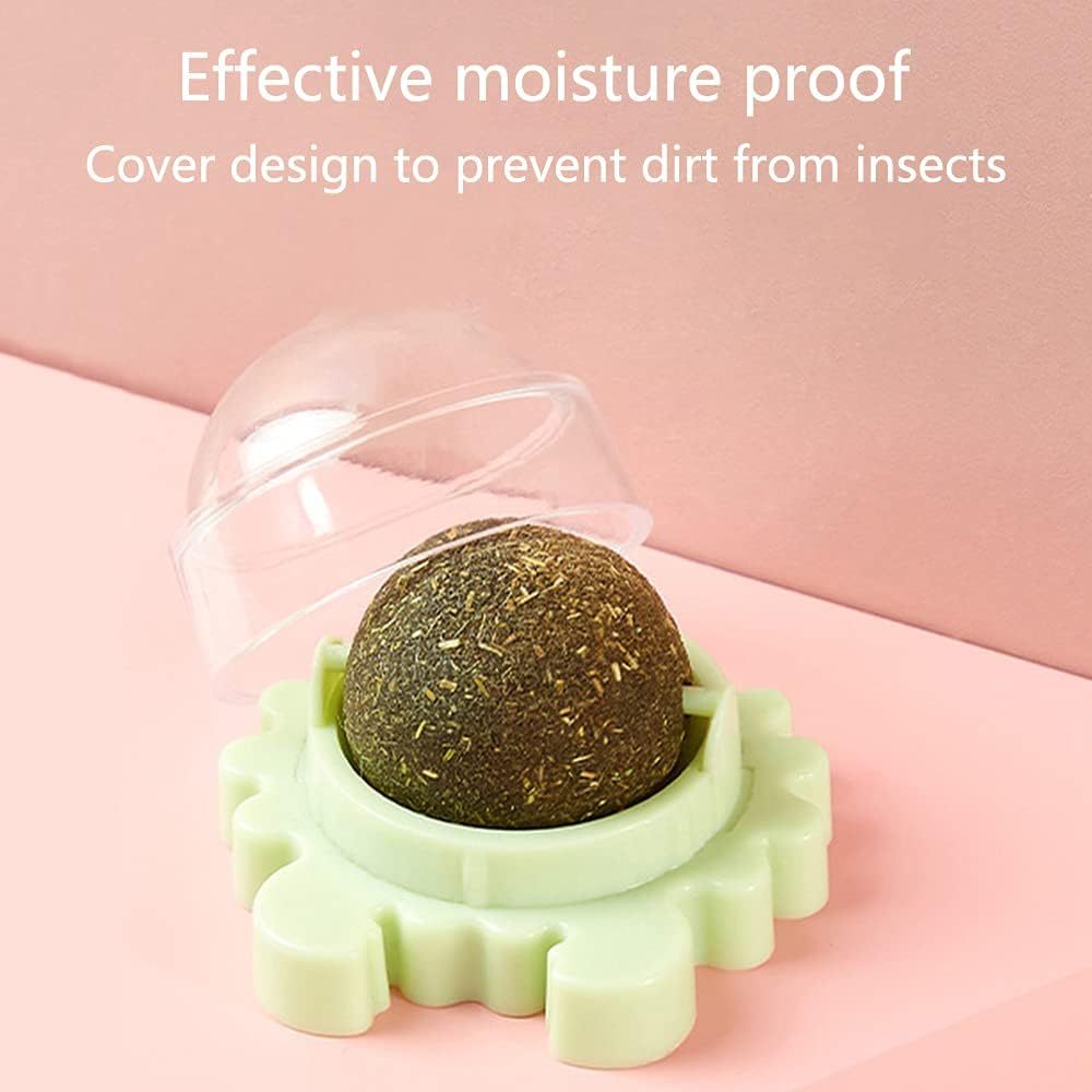 Rotatable Catnip Ball Toy – Chew, Lick, and Clean Teeth!