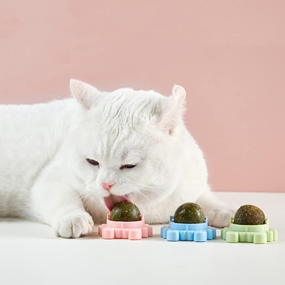 Rotatable Catnip Ball Toy – Chew, Lick, and Clean Teeth!