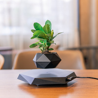 Floating Plant Pot for Home & Office with Creative Touch