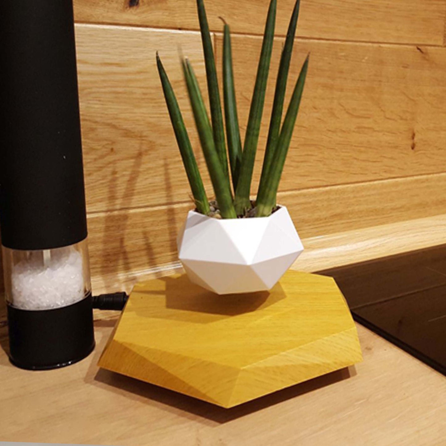 Floating Plant Pot for Home & Office with Creative Touch