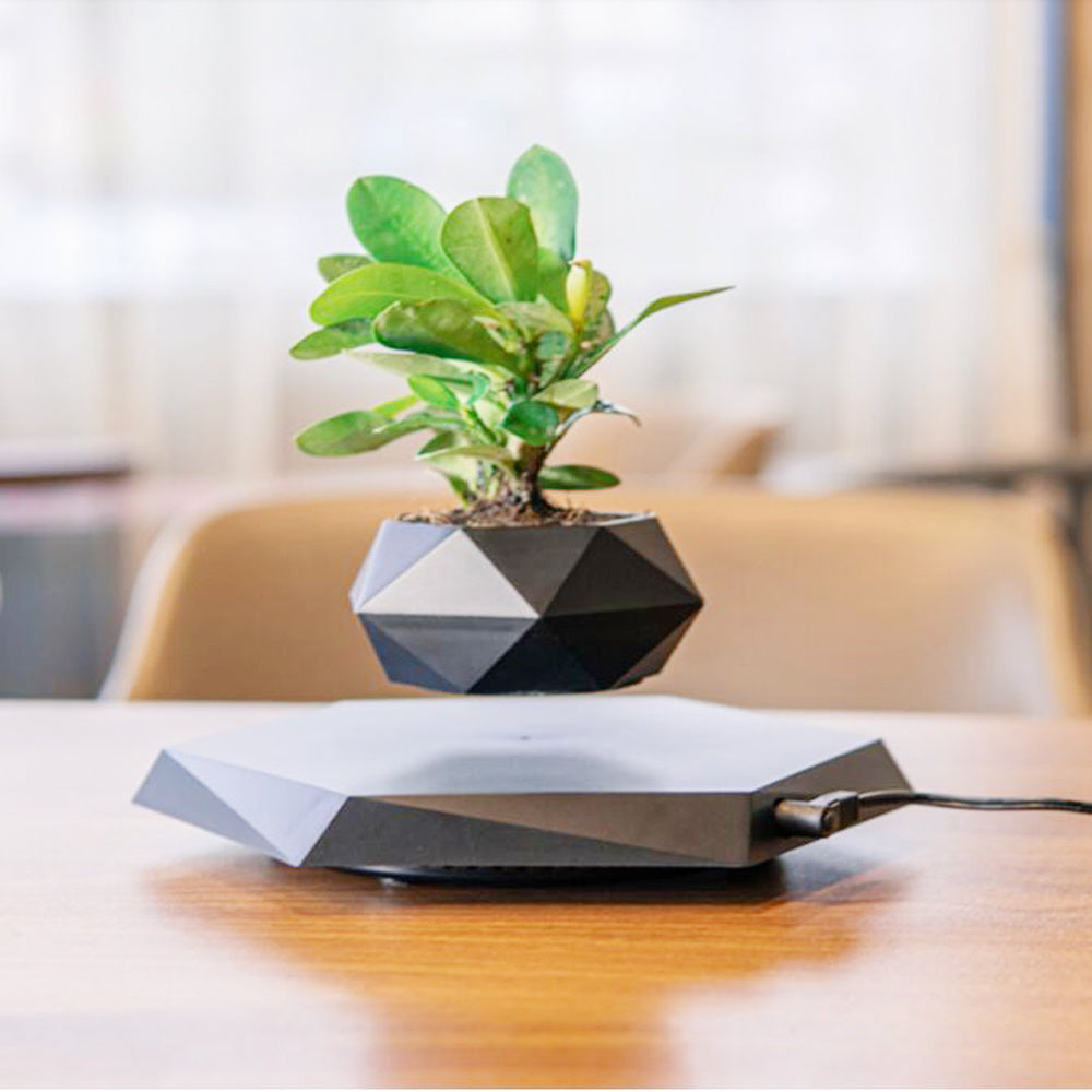 Floating Plant Pot for Home & Office with Creative Touch