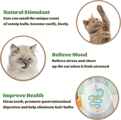 Rotatable Catnip Ball Toy – Chew, Lick, and Clean Teeth!