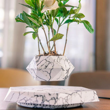 Floating Plant Pot for Home & Office with Creative Touch