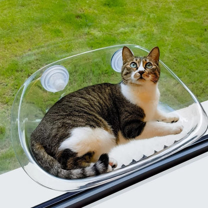 Elevated Cat Hammock for Window Views and Sunbathing
