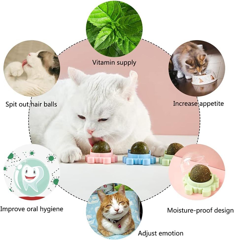 Rotatable Catnip Ball Toy – Chew, Lick, and Clean Teeth!